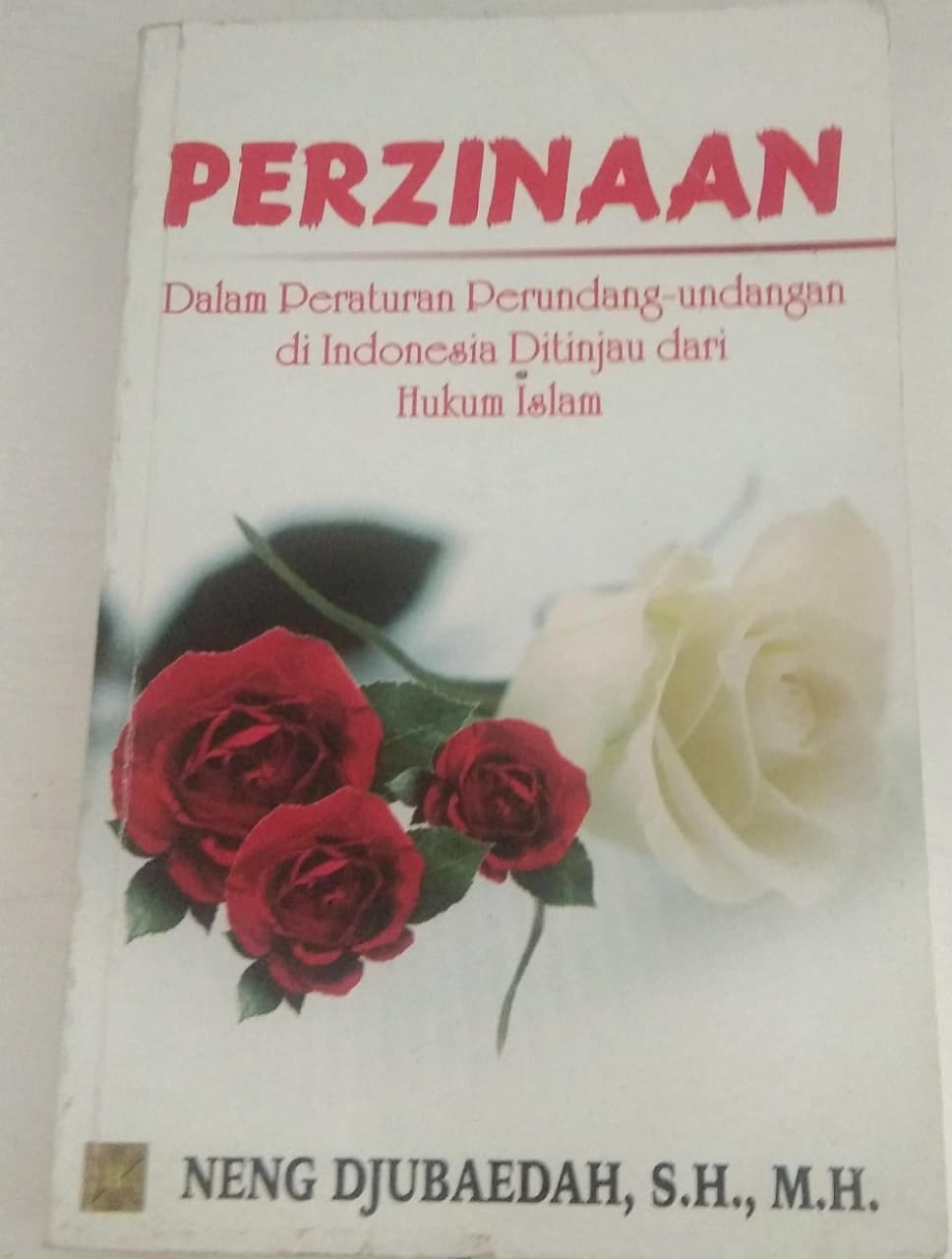 Perzinaan Dalam Peraturan Perundang-Undangan di Indonesia Ditinjau Dari Hukum Islam